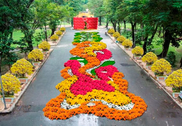 Le Tet à Hochiminh-ville